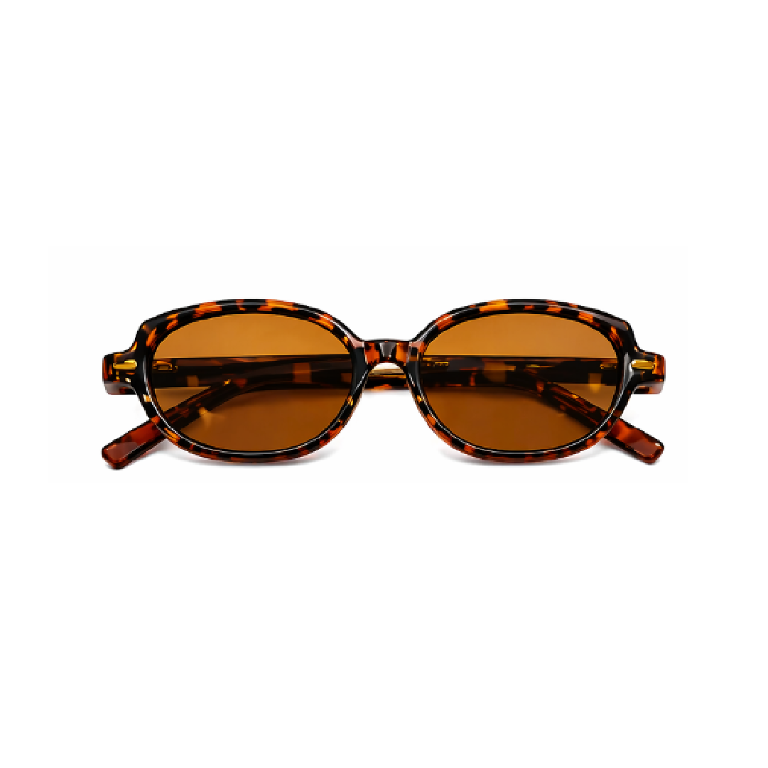Tortoise Classic